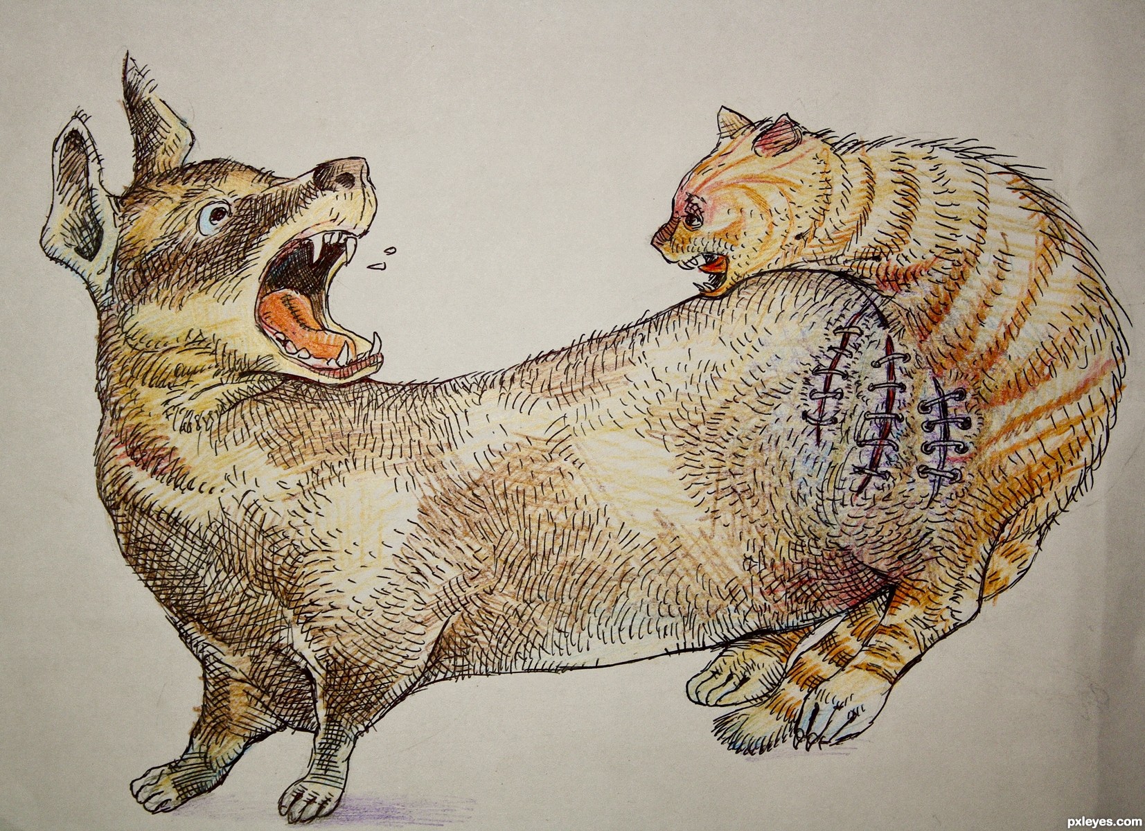 Two Animals Mixed Together Drawings